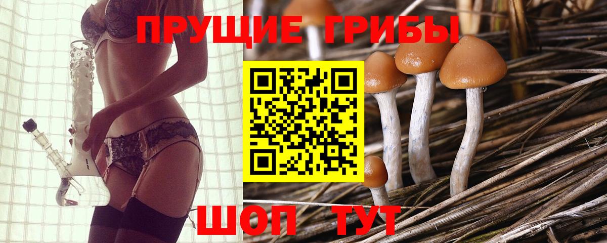 Псилоцибиновые грибы Cubensis Семёнов